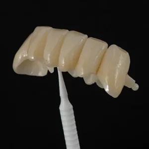 Ponte Zirconia com attachment (1)